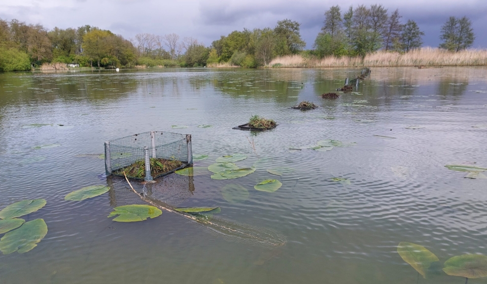 Nestvlotjes Zwolle stern