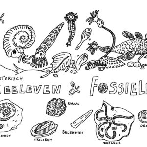 Fossielen en zeeleven