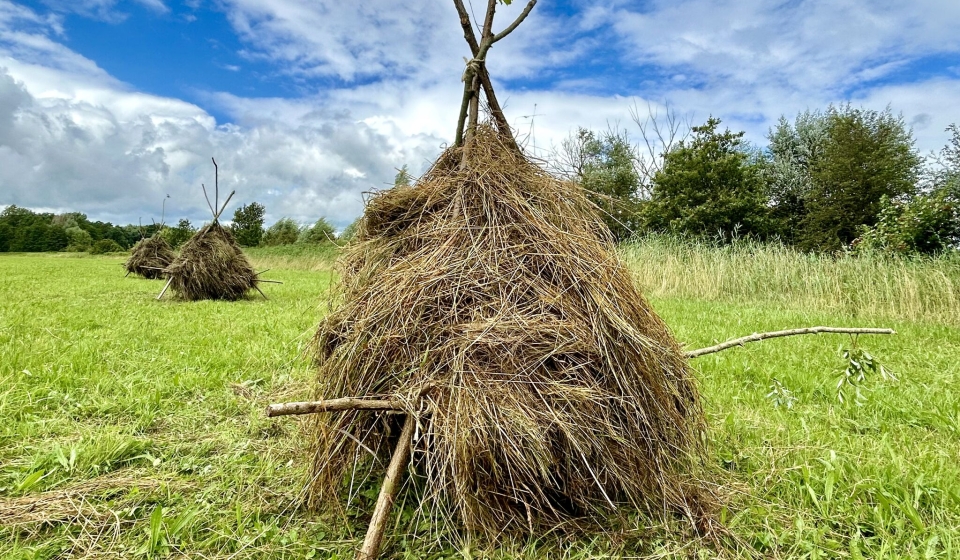 Muizenruiters in Zwolle langs de IJsseldijk
