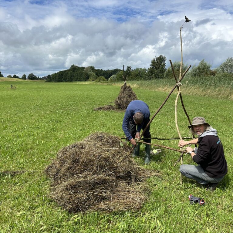 Muizenruiters bouwen