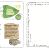 Nature journal - Afbeelding 2