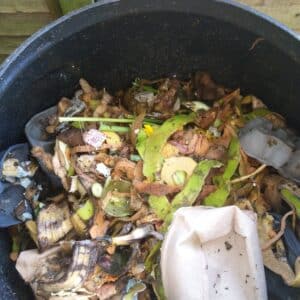 compost 3