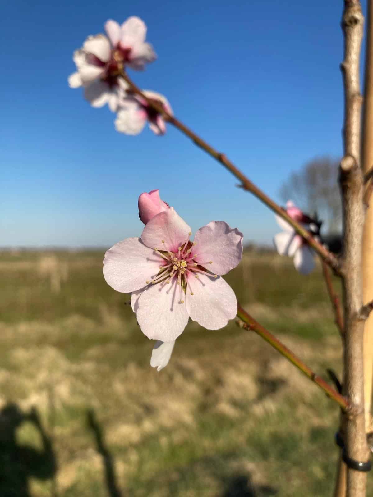 Meeboerdag op Happyhill Microfarm bij Middelburg