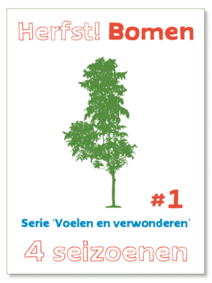Voelen en verwonderen #1 - Herfst! Bomen