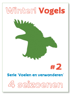 Voelen en verwonderen #2 - Winter! Vogels