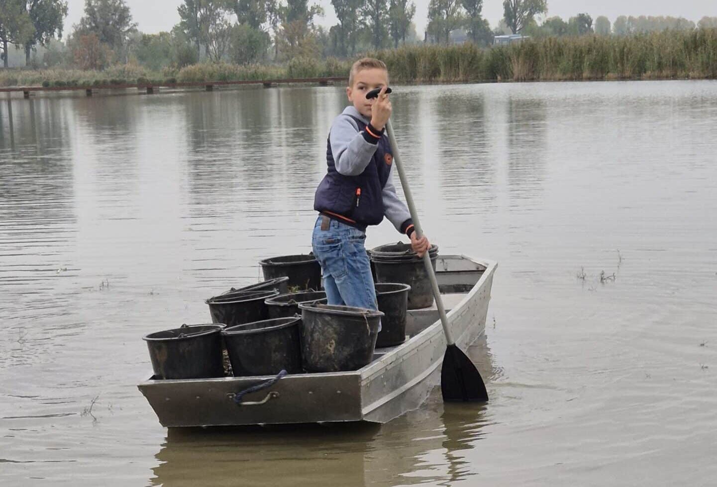 biesbosch waterteunisbloem 3