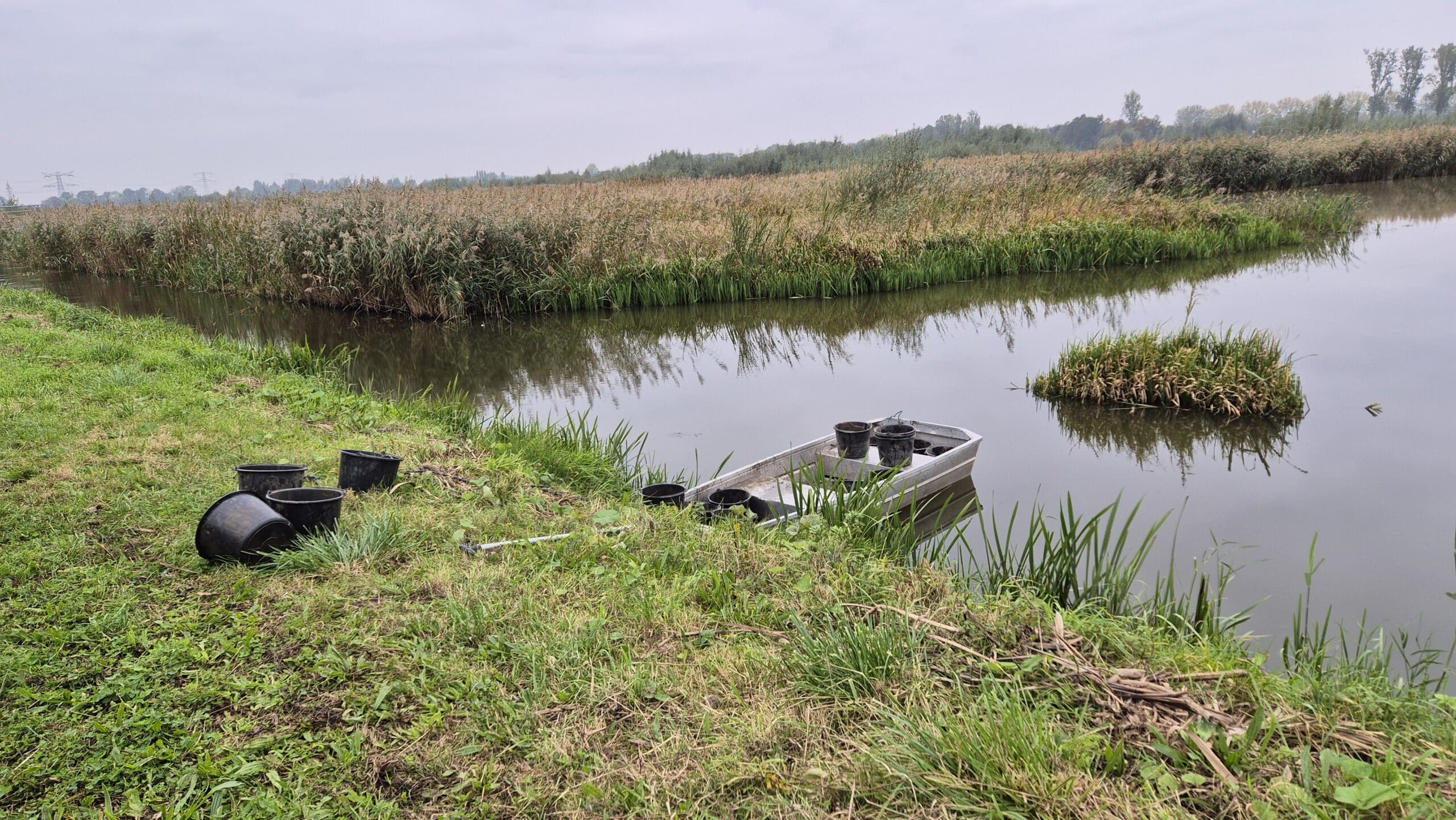biesbosch waterteunisbloem 4