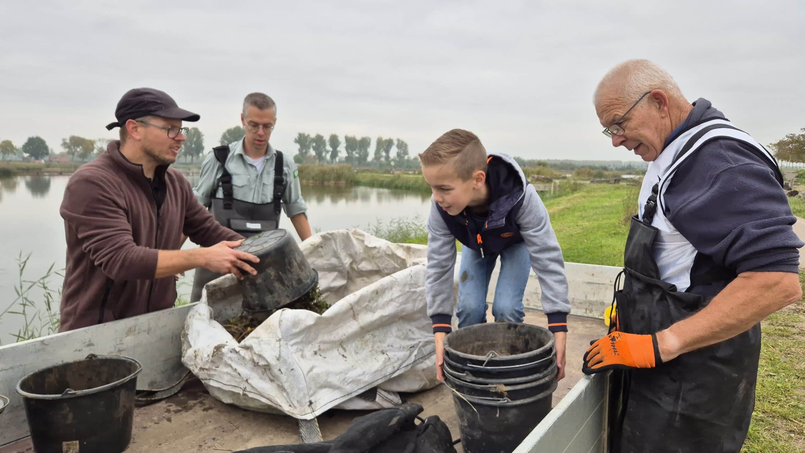 biesbosch waterteunisbloem 5