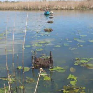zwarte stern zwolle 3