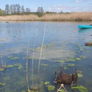 zwarte stern zwolle 4