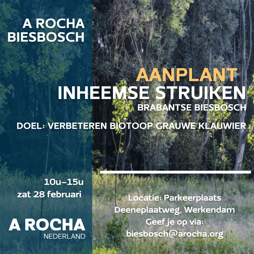 Kopie van NL World Cleanup Day (Instagram Square)(5)