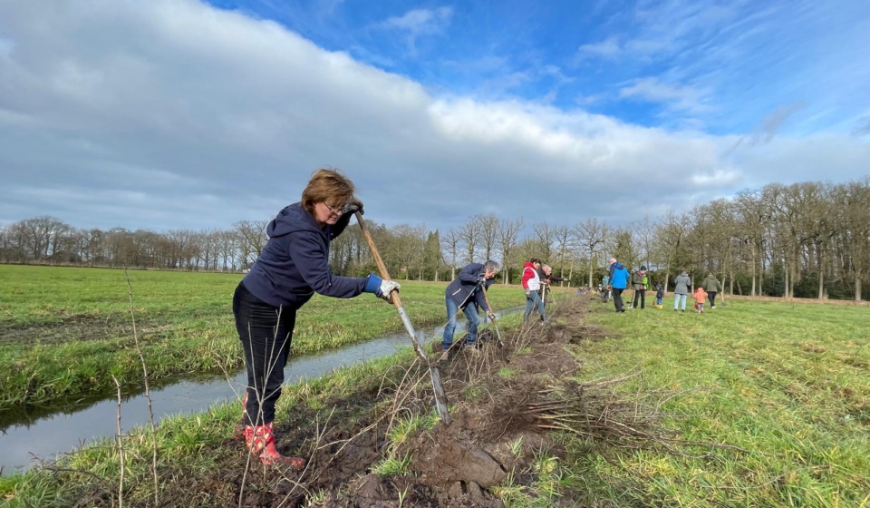 Amersfoort bomen planten 2