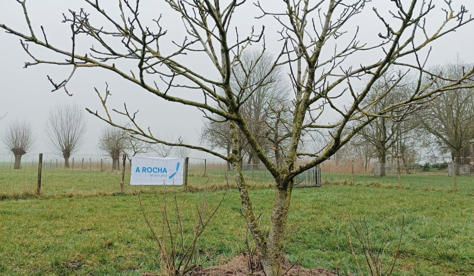 WhatsApp Image 2026-03-10 at 07.43.20