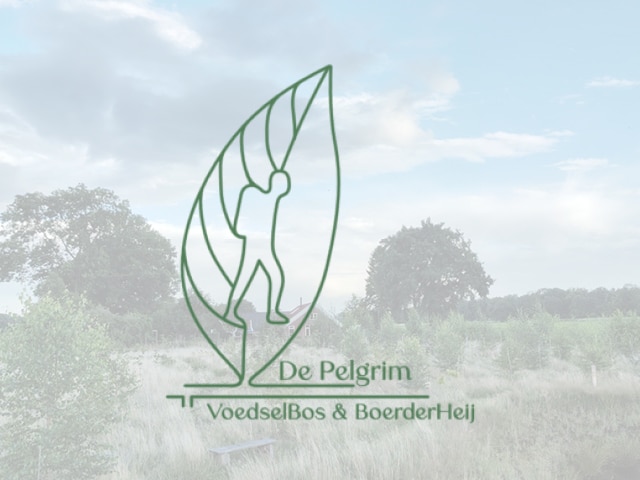 Voedelbos De Pelgrim - Bellingwolde - Groningen